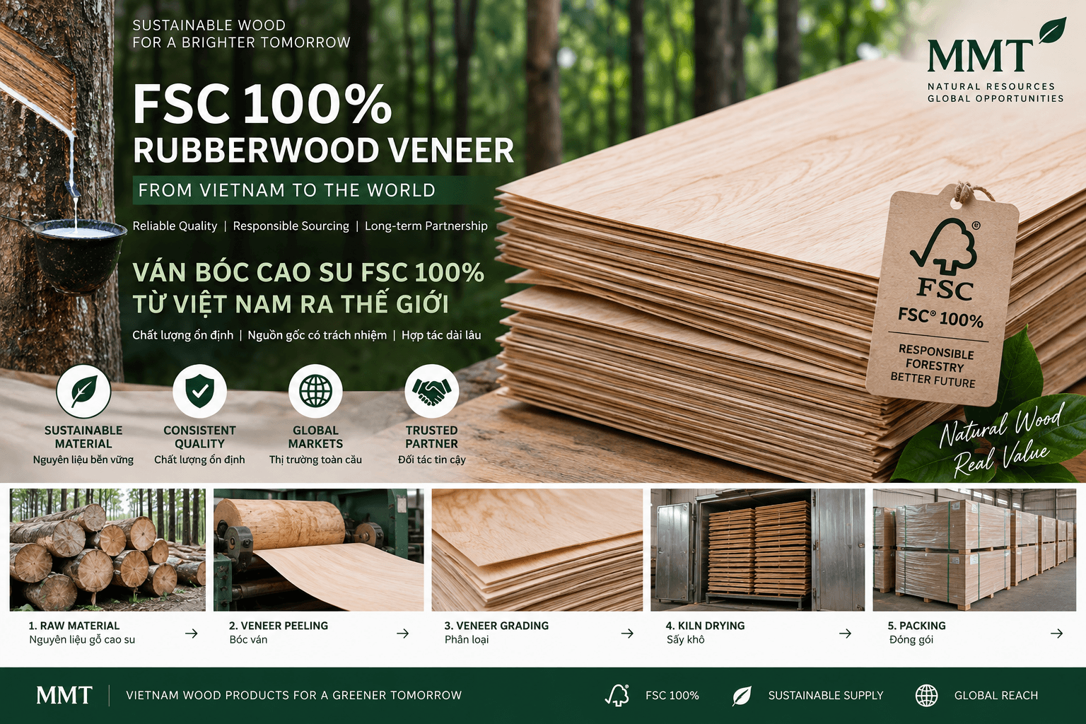 Ván bóc cao su FSC 100% từ Việt Nam - Lựa chọn bền vững cho thị trường toàn cầu
