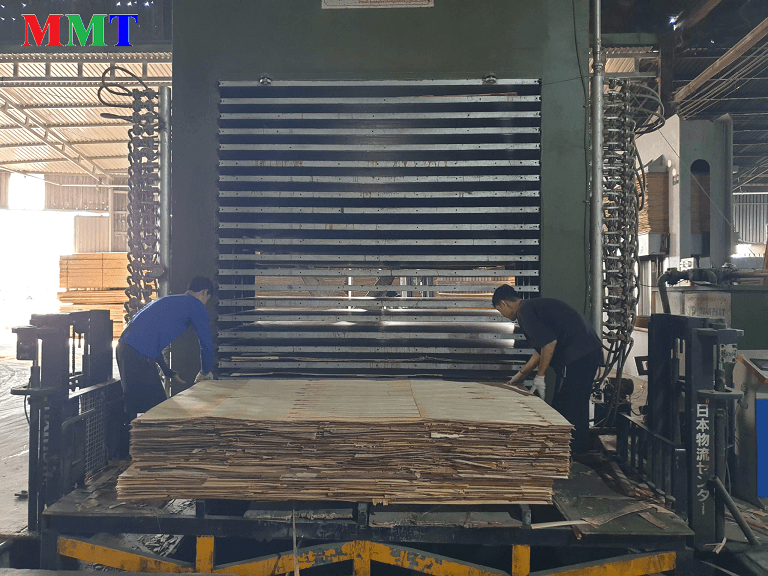 Xưởng sản xuất Plywood liên kết của MMT